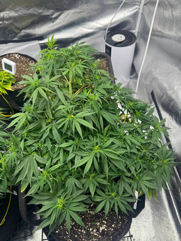 photo 2026 02 12 00 48 19