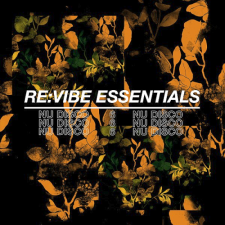 VA   Re:Vibe Essentials   Nu Disco Vol. 6 (2019