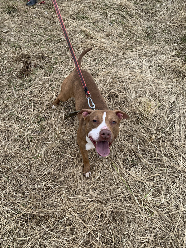 image-09-04-23-05-39-2 (1)