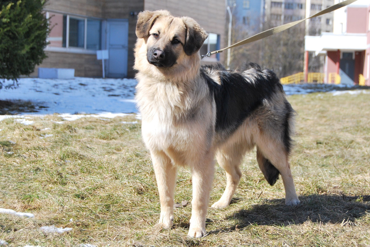 DBD9BE57-C7FA-4275-8244-DE534E4814C5