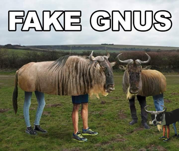 fake_gnus.png