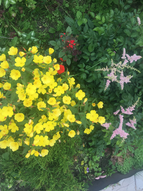 5AB33A7B-4849-42FC-9887-947DF8A7671C