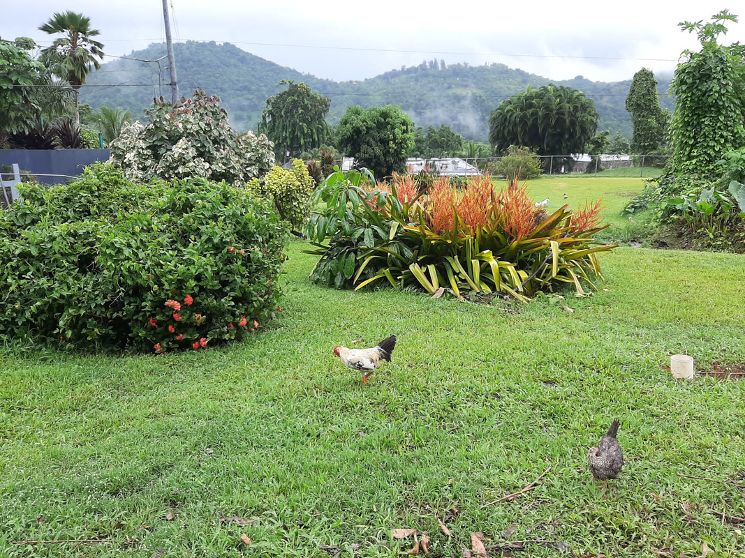 EACD6F90-97C0-4F8A-A286-6A3D32115C98