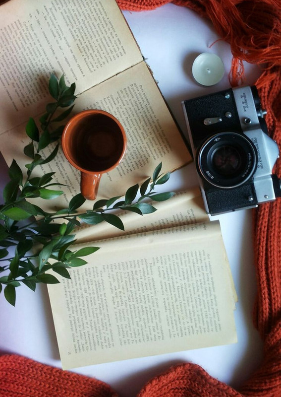 Screenshot_20231122_210309_Pinterest