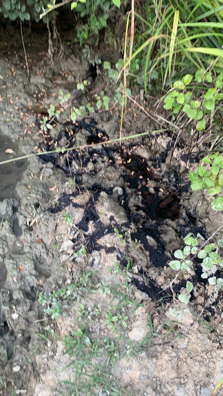 27A4C3AC-E328-4E32-97AA-7E25CB524EA8