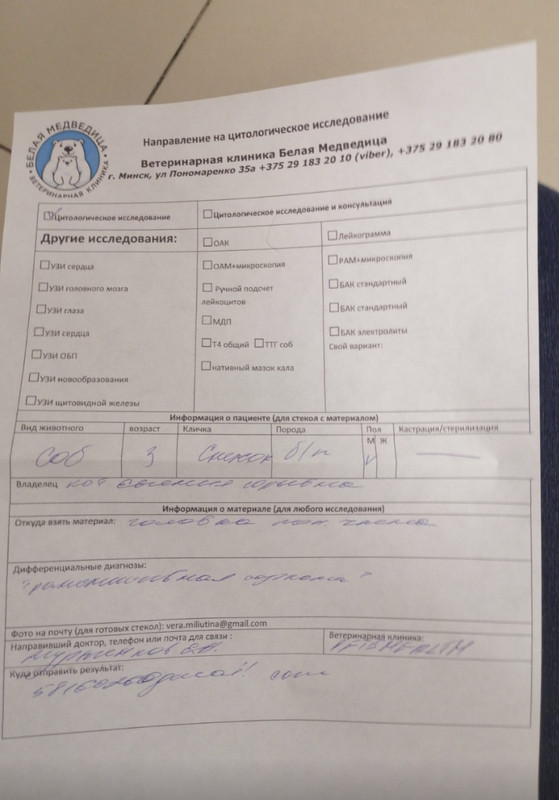 C1306FD8-FC1D-43A6-881B-3C517E9AA104