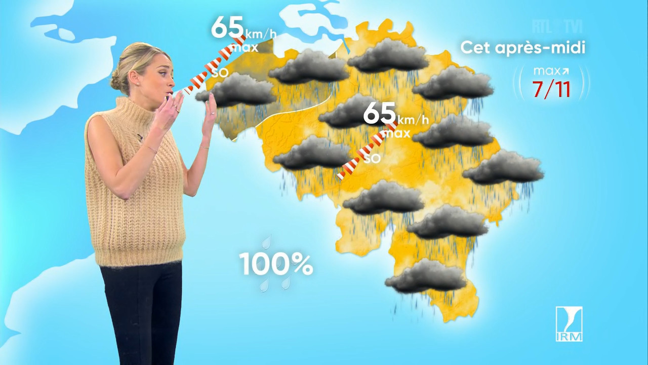 Météo 2023_01_12_12_30_00.ts_snapshot_15.04.807