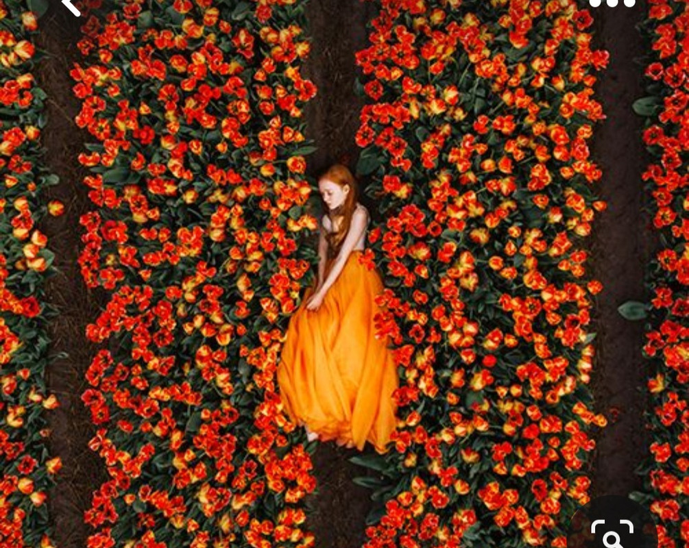 Screenshot_20230421_002516_Pinterest