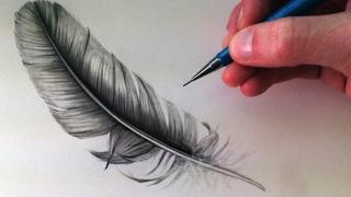 How to draw feathers