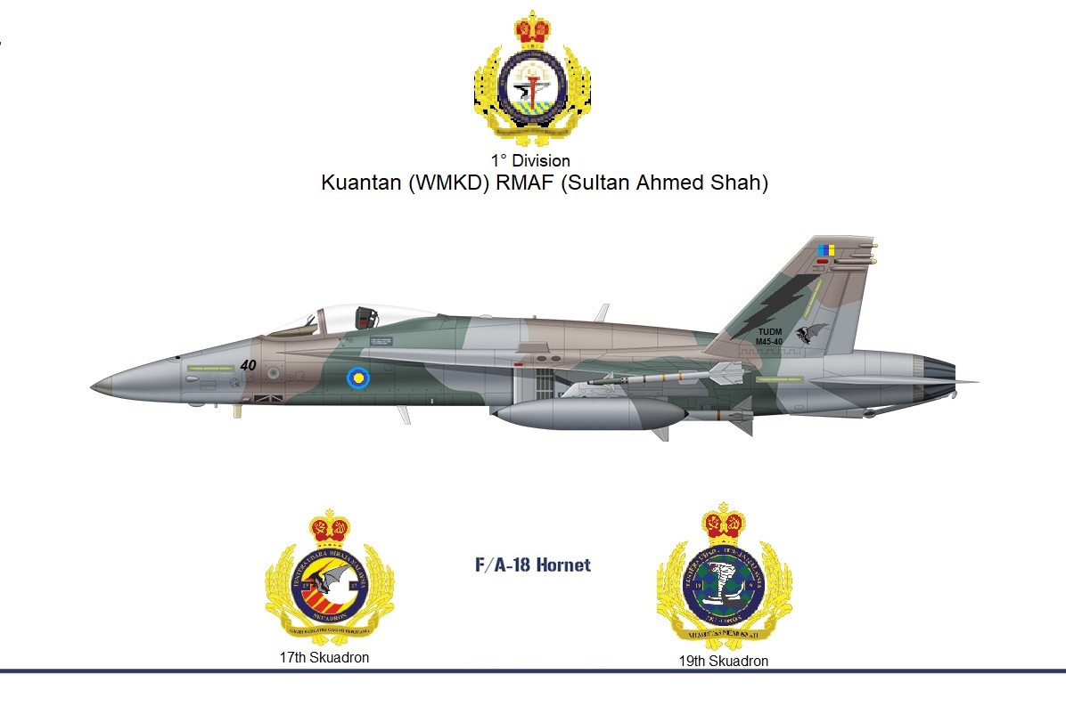 Cartel-FA-18-Hornet-Malasia.jpg