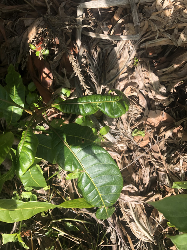 602E4180-853C-4473-AFFD-19FA450FBB59