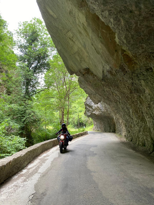 84A4073A-428C-48F1-8774-5DDAFD7FED10