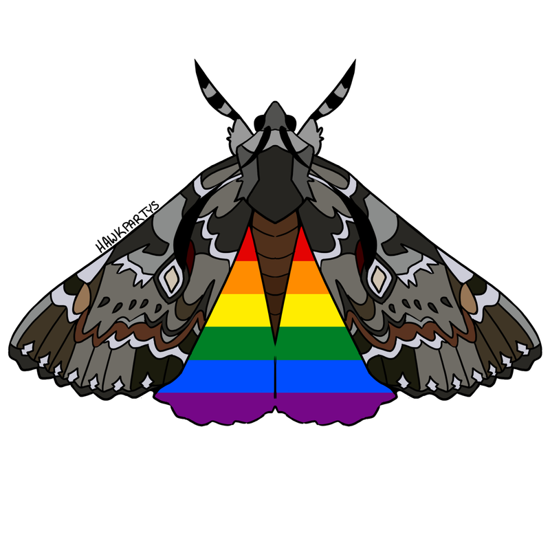 moths1-1