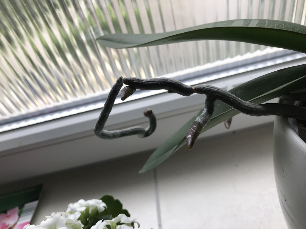 49A17735-28E3-4566-BC1B-915B16DACA8C