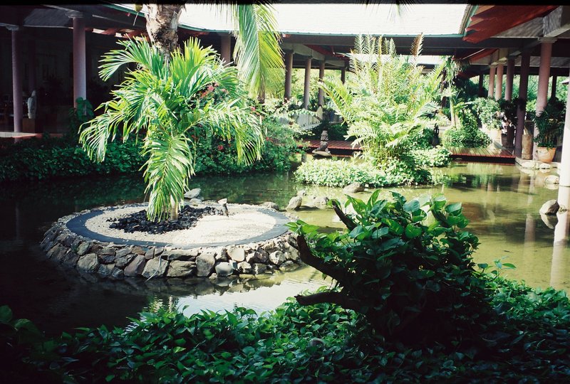 Hotel Fiesta Palace 5* - República Dominicana y sus pueblos-1998/1999/2004 (21)