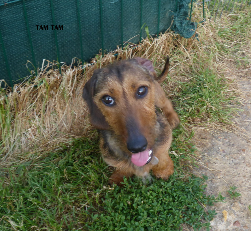 [Image: P1030265.jpg]