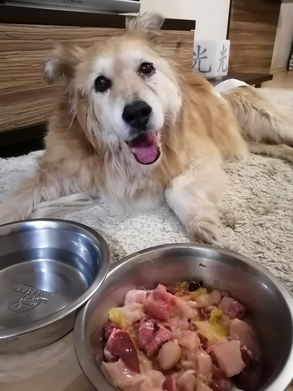 изображение_viber_2023-05-19_12-58-54-650