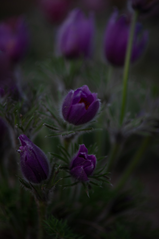 IMG-c8782e52188f79150dd4bd54e01f5b17-V