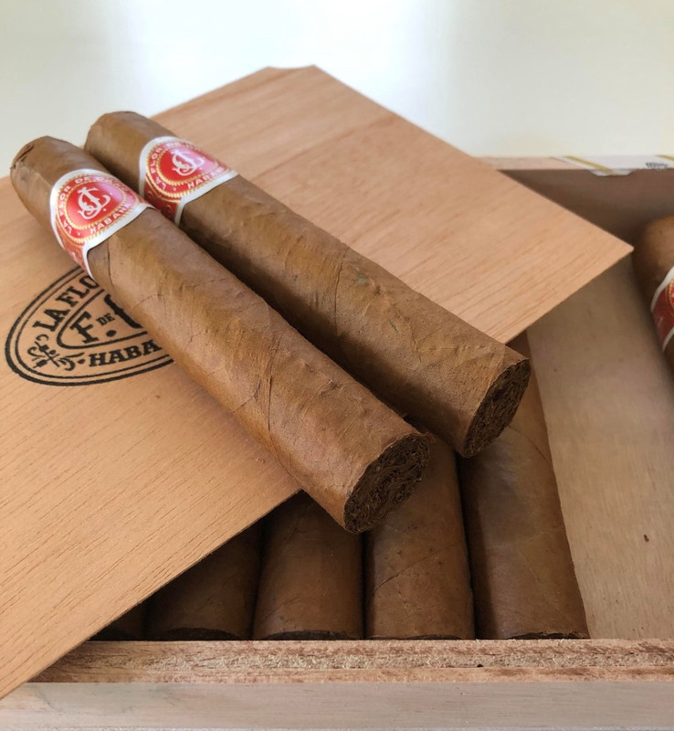 2341AE58-BBBC-4341-B4AA-DE991611F4A1.jpeg.2fd81da833fb9fae8518415eebb2687b