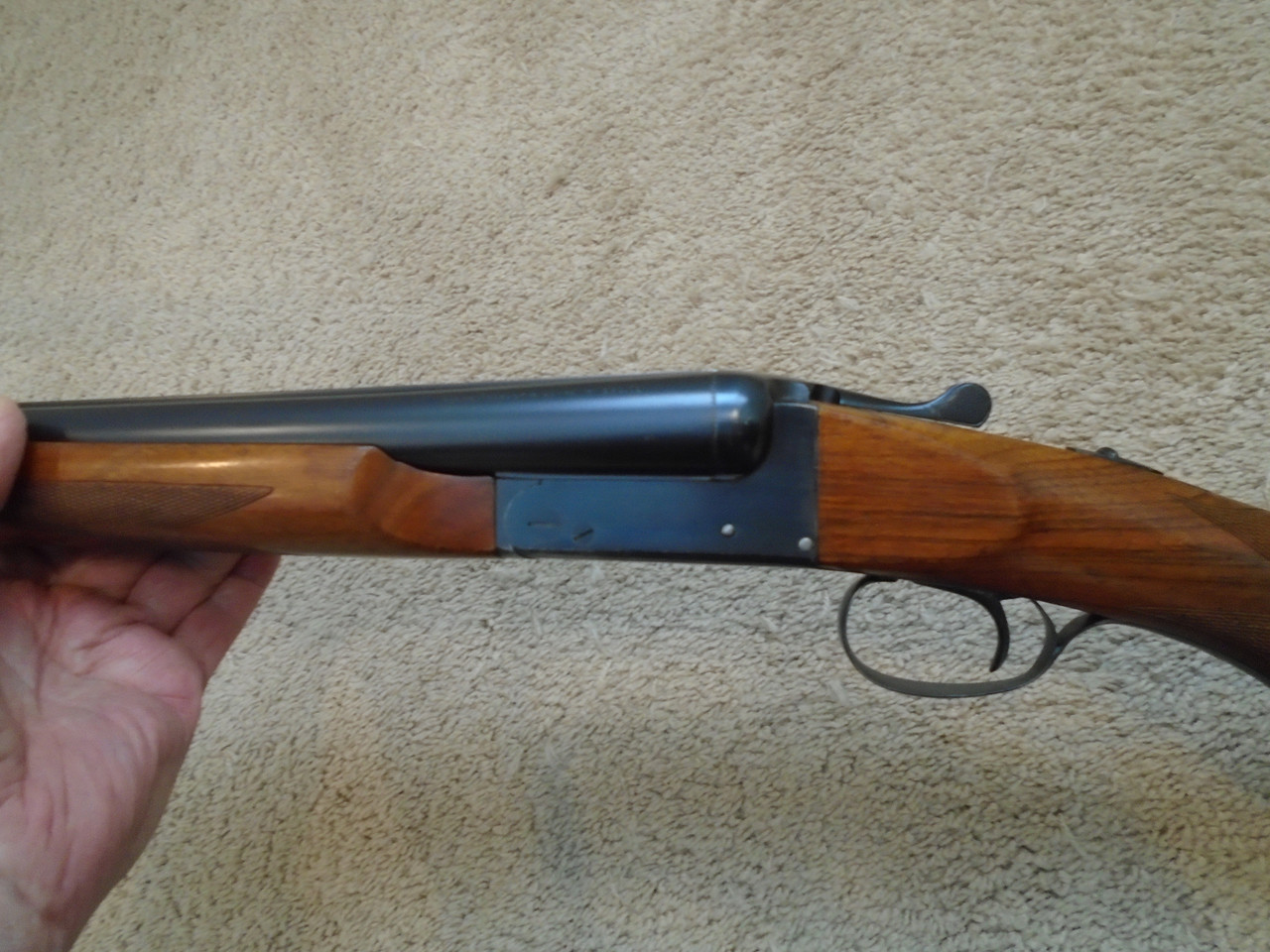 [Linked Image from i.postimg.cc]