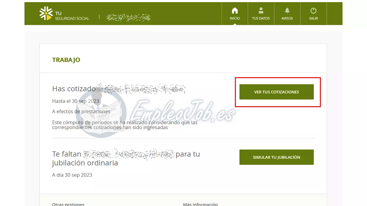 Ver cotizaciones a la Seguridad Social
