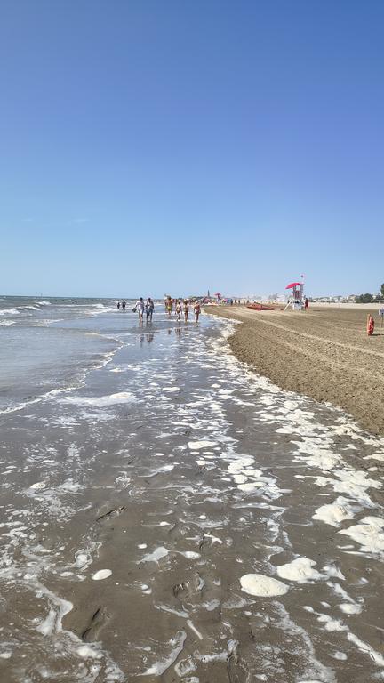 IMG-20260812-104816998-HDR.jpg