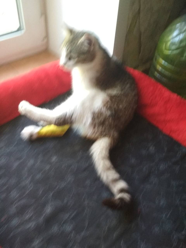 IMG-3760e2ada55fe92cb46f526517ef276c-V