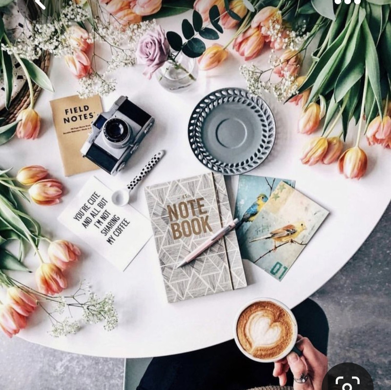 Screenshot_20230426_220549_Pinterest