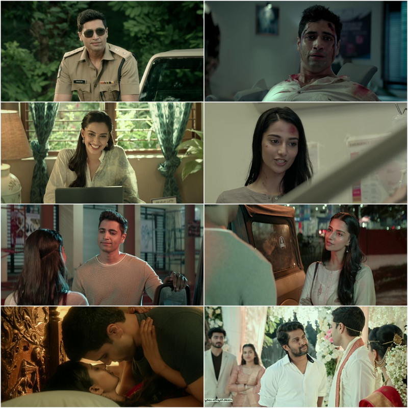 HIT The Second Case (2022) Dual Audio [Hindi & Telugu] Full Movie HD ESub screenshot