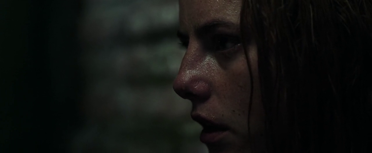 300mbunited.me--00008