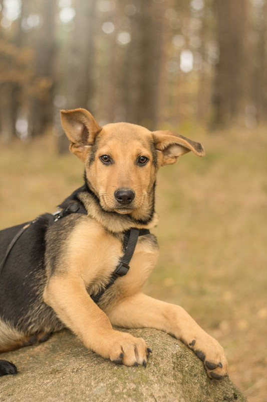 изображение_viber_2022-01-10_11-25-29-015