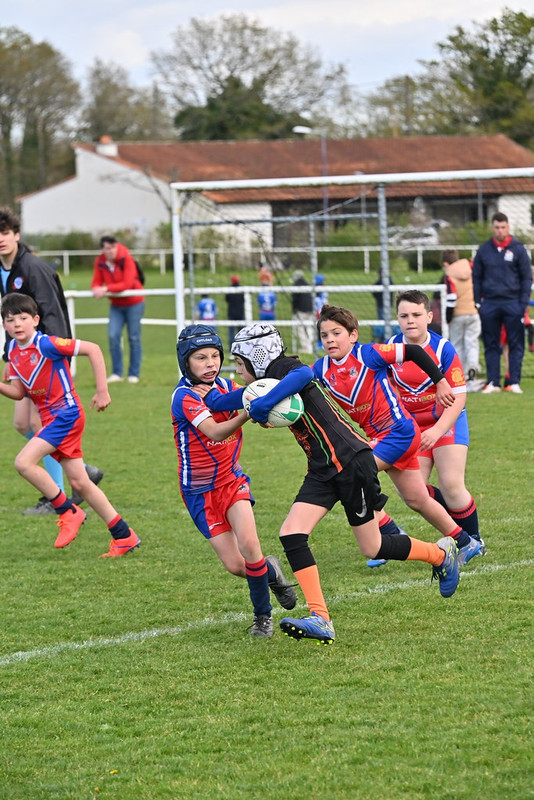 dsc-1719-55181466193-l