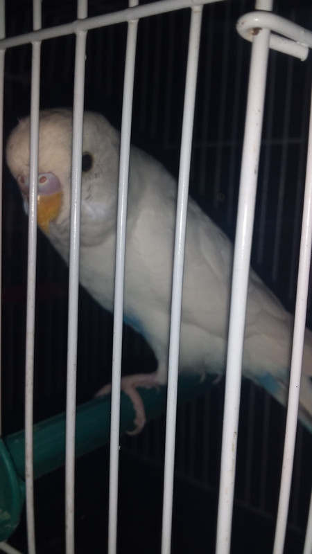 ٢٠٢١١٠١٦_١٧١٤٣٣