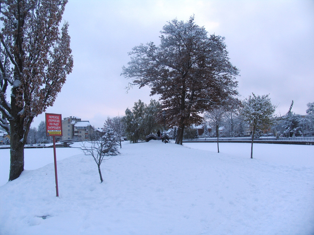 Ноябрь2023 088а