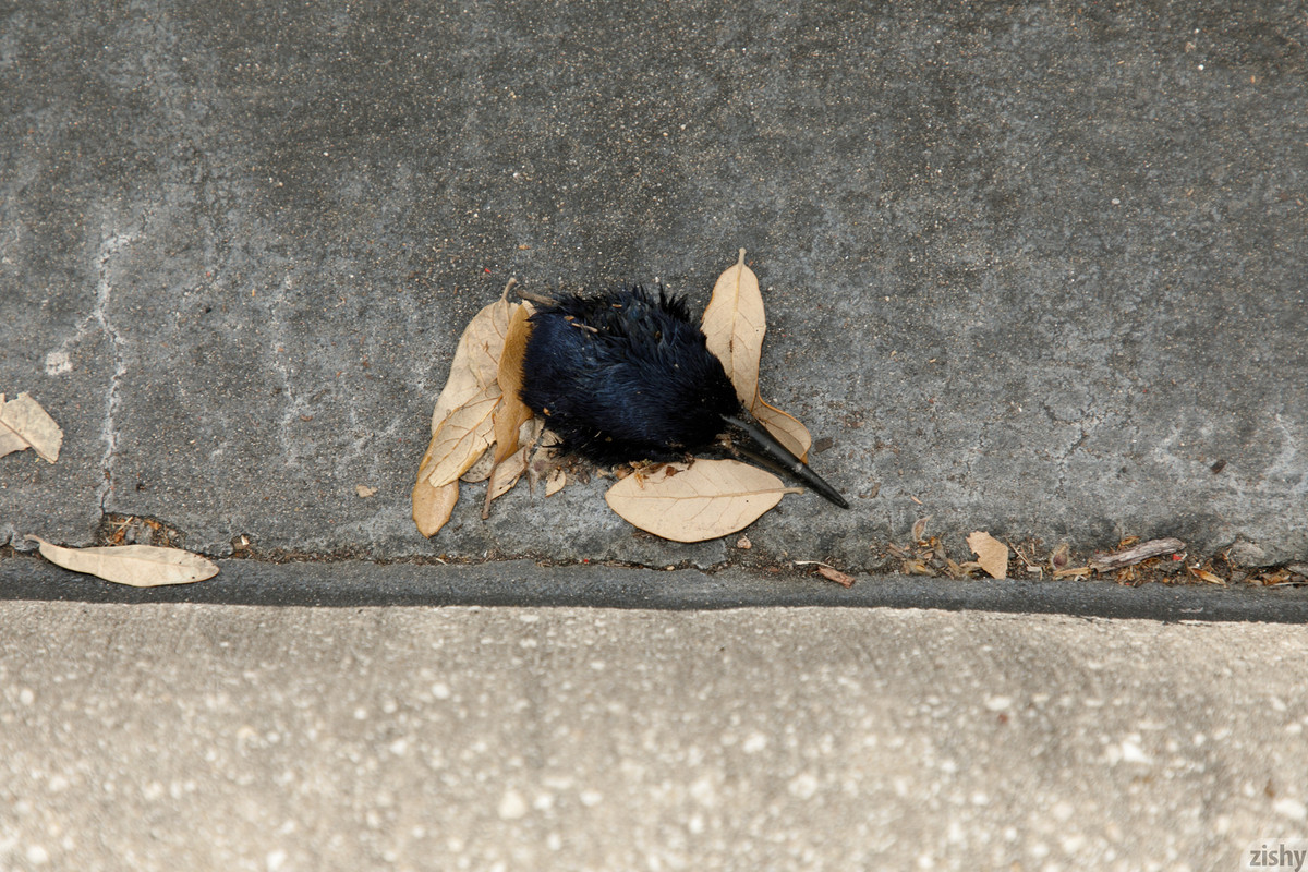 full_014_1453380617122822