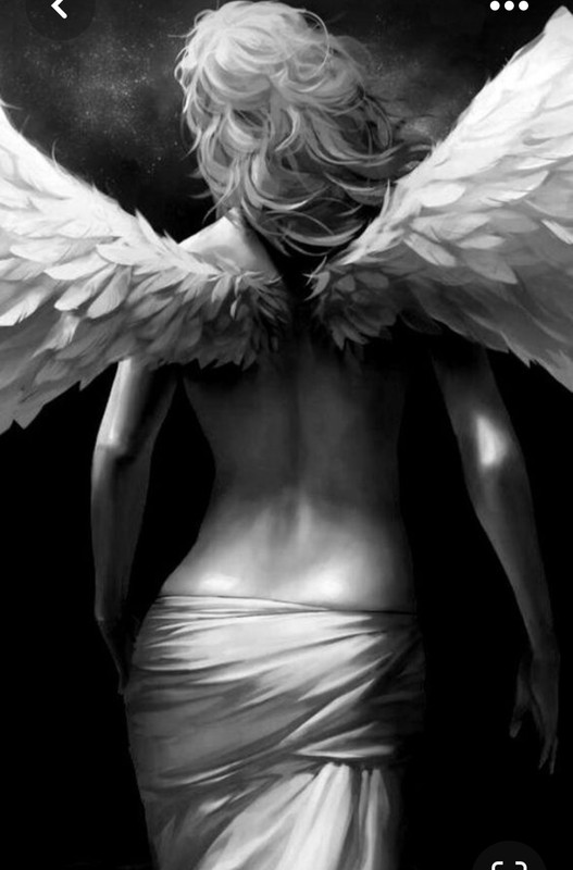 Screenshot_20230624_221132_Pinterest