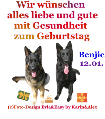 An den Beitrag angehängtes Bild: https://i.postimg.cc/SshnGTkZ/Geburtstagsvorlage-Benjie-12-01.png