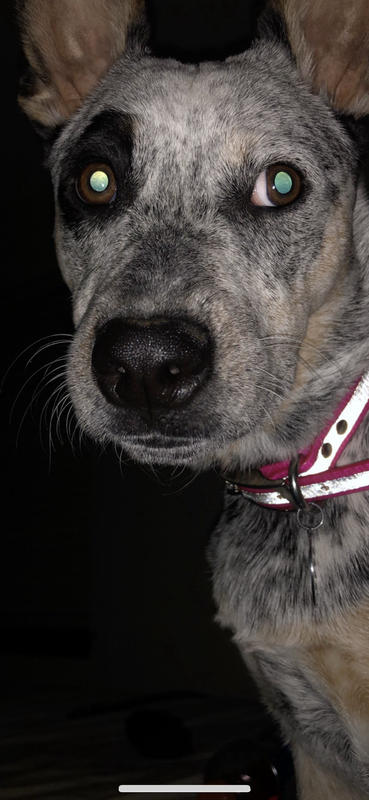 [Image: 0-C521-AA9-41-BE-4-F8-F-9-FE6-C28634-F87236.png]