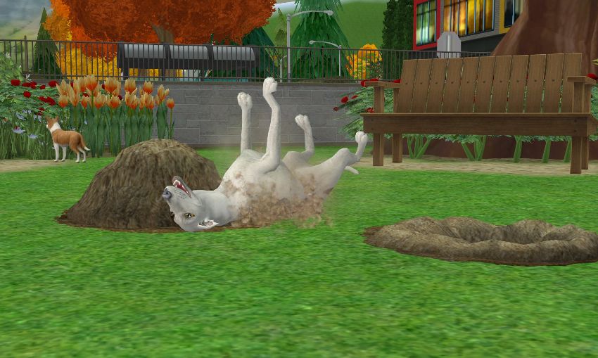 Sims2-EP9-2021-02-28-16-36-59-80