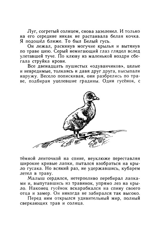 p0024
