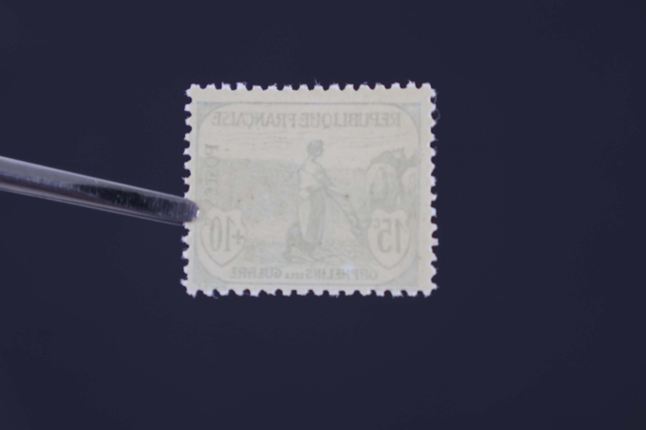 IMG 0445