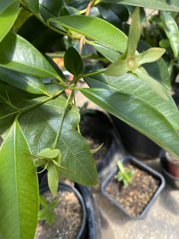 B8103B33-3790-48A1-A411-85036C3511D7