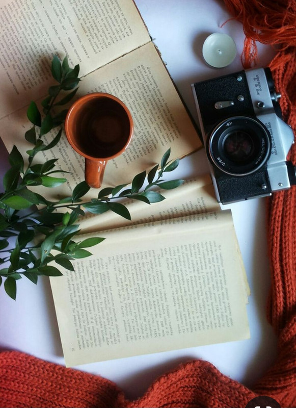 Screenshot_20240508_220547_Pinterest