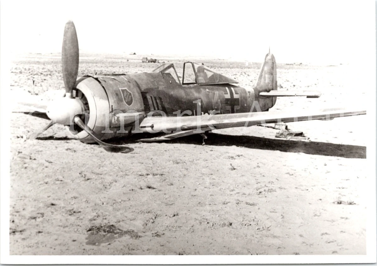 S096 photo WH archive repro Luftwaffe aircraft Fw190 emblem crash DAK Africa TOP