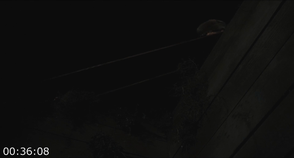 [Kép: Bury-Em-Deep-2025-1080p-WEB-H-264.png]