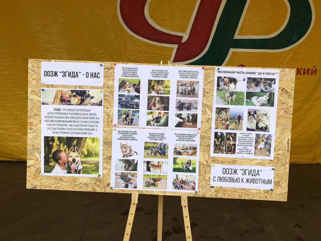 128BC20C-FFAA-4507-BAEF-565DBF70A7E8