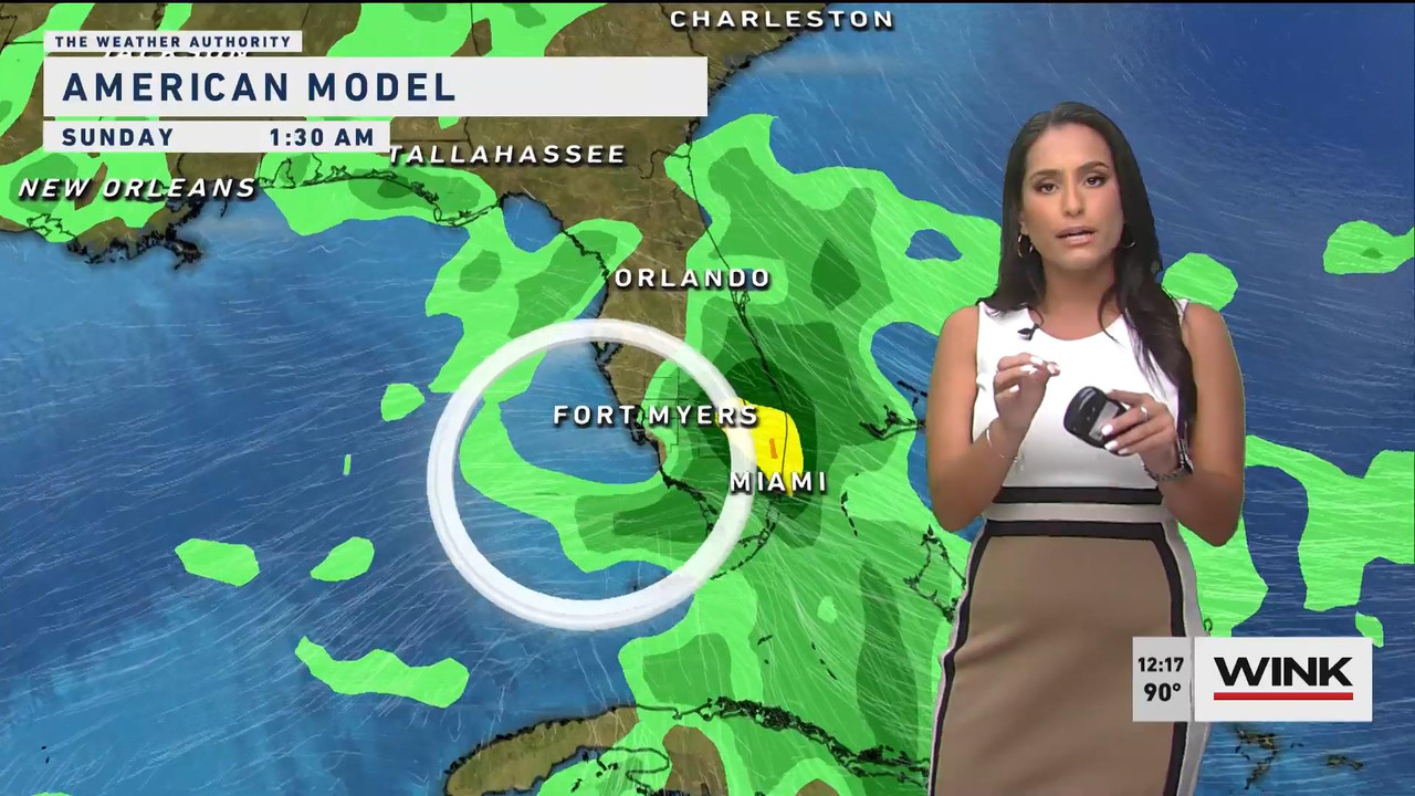 08.12 - 17.00.00 - WINK Noon News. Local news, sports and weather.ts_snapshot_07.24_[2021.08.12_19.0