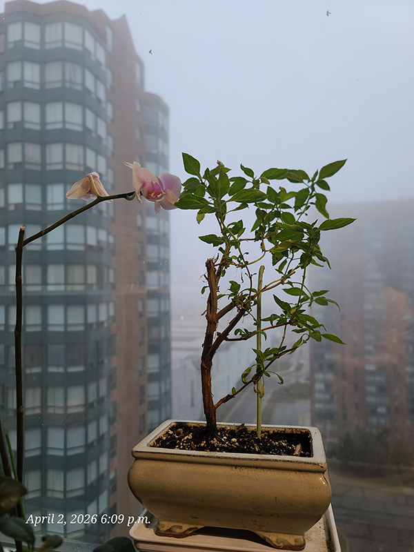 [Image: 20260402-180949.jpg]