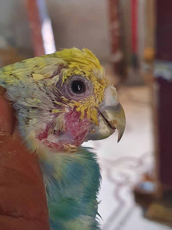 ٢٠٢٠١٢٠٧_١٢١٥٠١