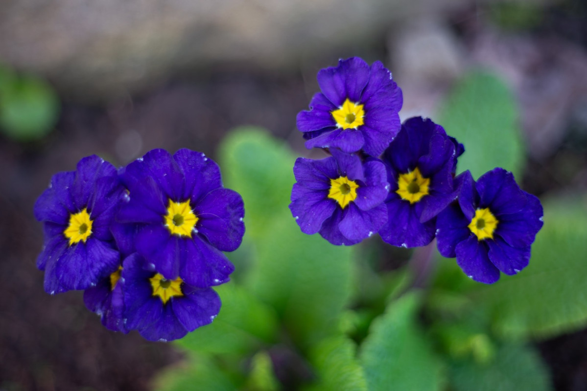 IMG-f171fcd6dc61dca7e0850dd91415e6b3-V